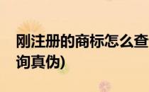 刚注册的商标怎么查询(刚注册的商标怎么查询真伪)
