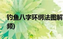 钓鱼八字环绑法图解(钓鱼八字环绑法图解视频)