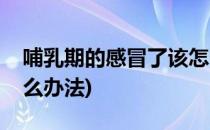 哺乳期的感冒了该怎么办(哺乳期感冒了有什么办法)