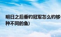 明日之后垂钓冠军怎么钓够十五种鱼(明日之后垂钓冠军14种不同的鱼)