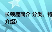长颈鹿简介 分类、特点、习性等(长颈鹿类型介绍)