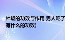 牡蛎的功效与作用 男人吃了牡蛎真的可以补肾(牡蛎对男人有什么的功效)