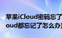 苹果iCloud密码忘了怎么办(苹果手机密码icloud都忘记了怎么办)