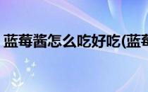 蓝莓酱怎么吃好吃(蓝莓酱怎么吃好吃又简单)