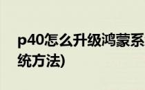 p40怎么升级鸿蒙系统(p40怎么升级鸿蒙系统方法)