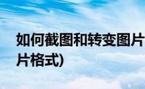 如何截图和转变图片格式(如何把截图变成图片格式)