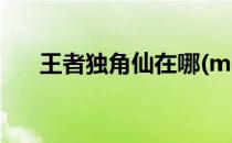 王者独角仙在哪(mhr王者独角仙在哪)