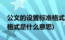 公文的设置标准格式是什么(公文的设置标准格式是什么意思)