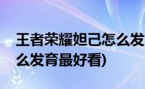 王者荣耀妲己怎么发育最好(王者荣耀妲己怎么发育最好看)