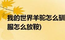 我的世界羊驼怎么驯服(我的世界羊驼怎么驯服怎么放鞍)