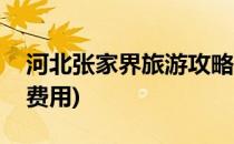 河北张家界旅游攻略(河北张家界旅游攻略和费用)