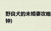 野良犬的未婚妻攻略(野良犬的未婚妻攻略时钟)
