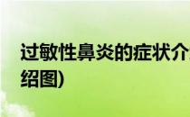 过敏性鼻炎的症状介绍(过敏性鼻炎的症状介绍图)