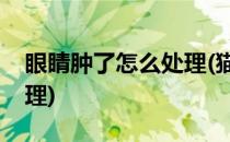 眼睛肿了怎么处理(猫咪撞到眼睛肿了怎么处理)