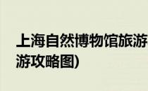 上海自然博物馆旅游攻略(上海自然博物馆旅游攻略图)