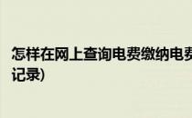 怎样在网上查询电费缴纳电费(怎样在网上查询电费缴纳电费记录)