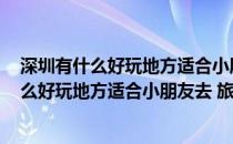深圳有什么好玩地方适合小朋友去 旅游景点推荐(深圳有什么好玩地方适合小朋友去 旅游景点推荐自驾游)