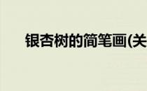 银杏树的简笔画(关于银杏树的简笔画)