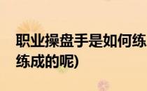 职业操盘手是如何练成的(职业操盘手是如何练成的呢)