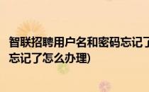 智联招聘用户名和密码忘记了怎么办(智联招聘用户名和密码忘记了怎么办理)