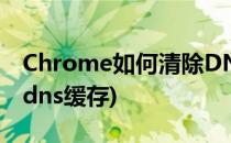Chrome如何清除DNS缓存(谷歌浏览器清除dns缓存)