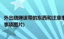 外出烧烤该带的东西和注意事项(外出烧烤该带的东西和注意事项图片)