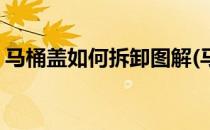 马桶盖如何拆卸图解(马桶盖如何拆卸图解法)