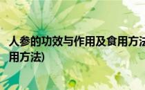 人参的功效与作用及食用方法(桑葚与人参的功效与作用及食用方法)