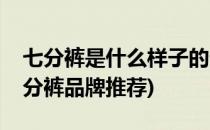 七分裤是什么样子的七分裤品牌都有什么(七分裤品牌推荐)