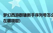 梦幻西游群雄新手序列号怎么激活(梦幻西游群雄礼包序列号在哪领取)