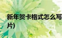 新年贺卡格式怎么写(新年贺卡格式怎么写图片)