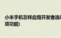 小米手机怎样启用开发者选项?(小米手机怎样启用开发者选项功能)