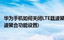 华为手机如何关闭LTE载波聚合功能(华为手机如何关闭lte载波聚合功能设置)