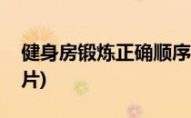 健身房锻炼正确顺序(健身房锻炼正确顺序图片)