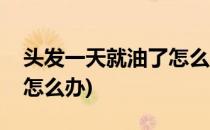 头发一天就油了怎么办(头发一天不洗就很油怎么办)