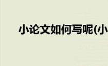 小论文如何写呢(小论文如何写呢初中)