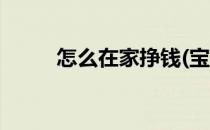 怎么在家挣钱(宝妈怎么在家挣钱)