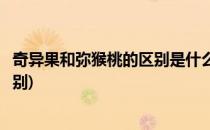 奇异果和弥猴桃的区别是什么来看看(猴桃和奇异果有什么区别)