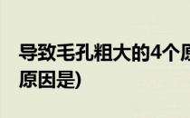导致毛孔粗大的4个原因(导致毛孔粗大的4个原因是)
