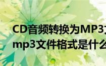 CD音频转换为MP3文件格式(cd音频转换为mp3文件格式是什么)