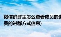 微信群群主怎么查看成员的进群方式(微信群群主怎么查看成员的进群方式信息)