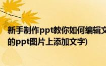 新手制作ppt教你如何编辑文字如何插入图片(怎样在制作好的ppt图片上添加文字)