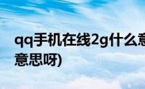 qq手机在线2g什么意思(qq手机在线2g什么意思呀)
