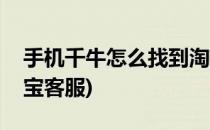 手机千牛怎么找到淘宝客服(千牛如何联系淘宝客服)