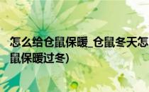 怎么给仓鼠保暖_仓鼠冬天怎么养_冬天仓鼠怎么过(如何为仓鼠保暖过冬)