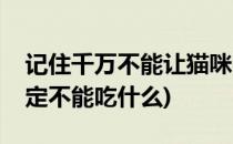记住千万不能让猫咪吃什么太恐怖了(猫咪一定不能吃什么)