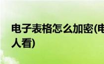电子表格怎么加密(电子表格怎么加密码不让人看)