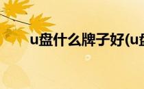 u盘什么牌子好(u盘哪种品牌比较好)