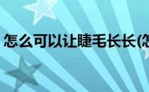 怎么可以让睫毛长长(怎么可以让睫毛长长长)
