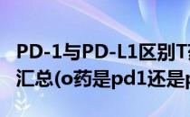 PD-1与PD-L1区别T药、I药、K药、O药区别汇总(o药是pd1还是pdl1)